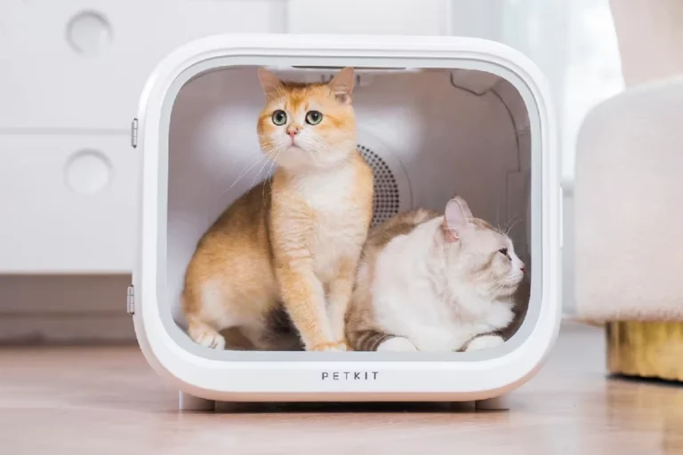 Smart Pet Hair Drying Box 6 1