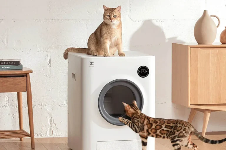 cat sandbox automatic collector cat litter 13 1