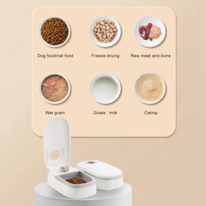 Automatic Pet Feeder with Timer, Stainless Steel Bowl - Image 6