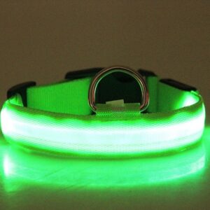 LED dog collar, luminous night pet collar - MoraDecor