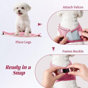 No Pull Dog Harness and Leash Set, Reflective Mesh Vest - Image 5