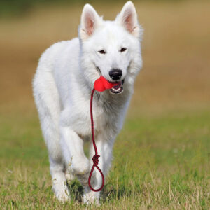 Rubber rope dog toy, natural durable tug toy - MoraDecor