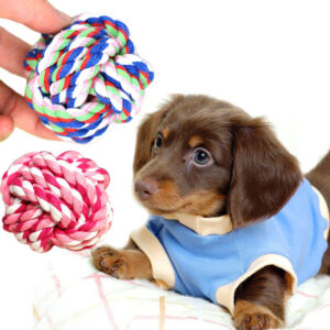 Alternative view of Cotton Rope Dog Toy, Durable Ball for Chewing