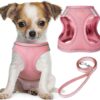 No pull dog harness and leash set, reflective mesh vest - MoraDecor