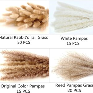 Pampas Grass Bouquet, 100 Stems Dried Boho Decor - Image 3