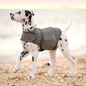 Dog anxiety jacket, warm pet clothes vest - MoraDecor