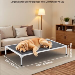 Elevated Dog Bed for Large Dogs, Raised Cot XL - Image 5