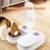 Automatic pet feeder with timer and steel bowl - MoraDecor