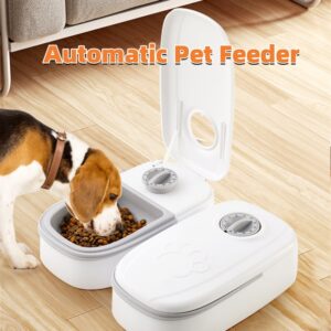 Automatic pet feeder with timer and steel bowl - MoraDecor