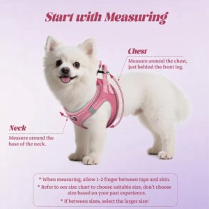 No Pull Dog Harness and Leash Set, Reflective Mesh Vest - Image 4
