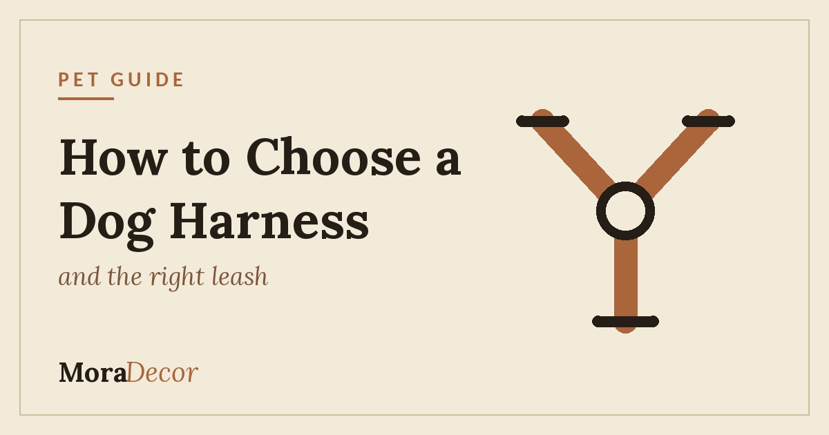 How to choose a dog harness and the right leash - MoraDecor